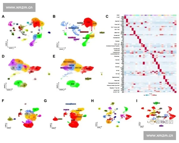 基于体育数据分析的比赛预测模型与应用研究探索