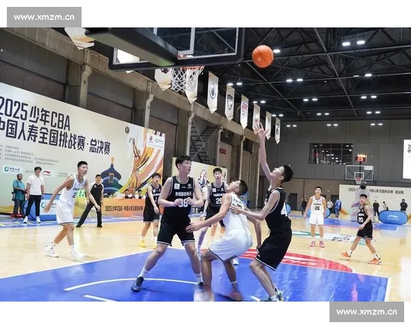 CBA赛事平台全面升级打造数字化篮球观赛新体验